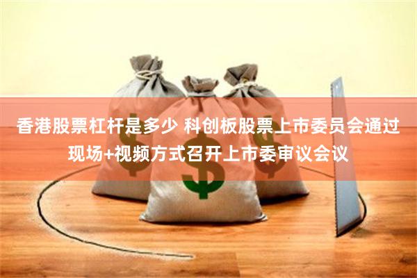 香港股票杠杆是多少 科创板股票上市委员会通过现场+视频方式召开上市委审议会议