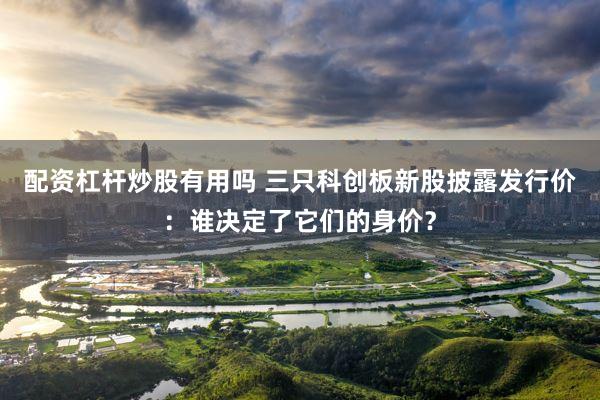 配资杠杆炒股有用吗 三只科创板新股披露发行价：谁决定了它们的身价？