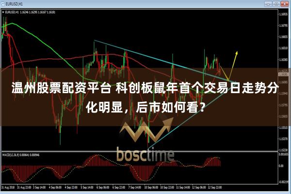 温州股票配资平台 科创板鼠年首个交易日走势分化明显，后市如何看？