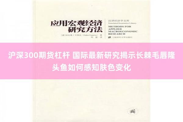 沪深300期货杠杆 国际最新研究揭示长棘毛唇隆头鱼如何感知肤色变化
