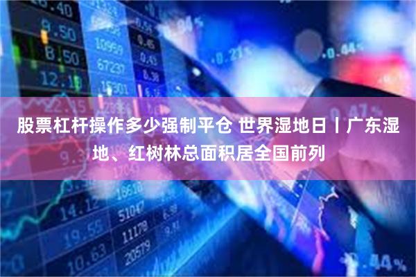 股票杠杆操作多少强制平仓 世界湿地日丨广东湿地、红树林总面积居全国前列