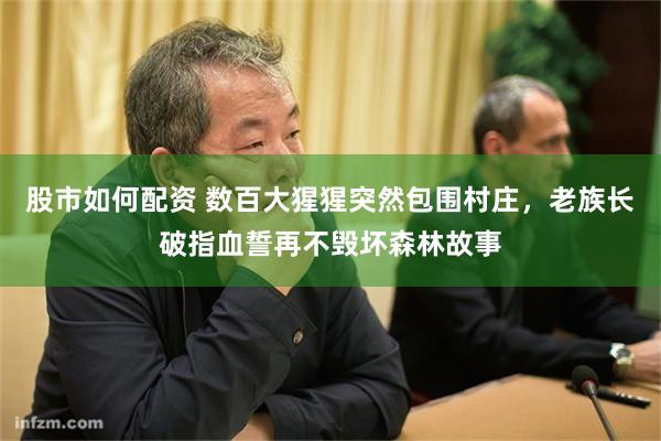 股市如何配资 数百大猩猩突然包围村庄，老族长破指血誓再不毁坏森林故事