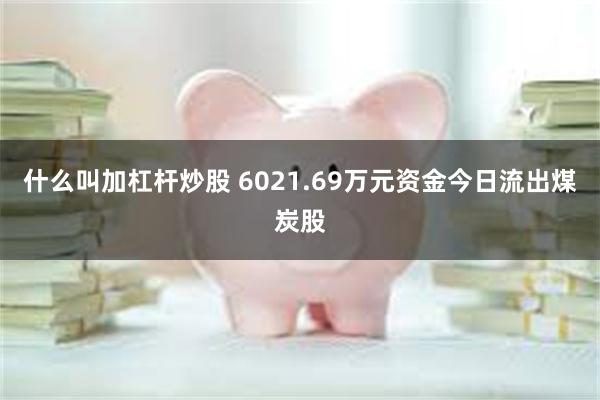 什么叫加杠杆炒股 6021.69万元资金今日流出煤炭股