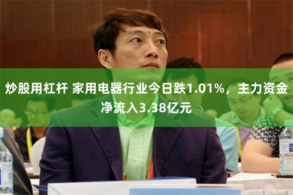 炒股用杠杆 家用电器行业今日跌1.01%，主力资金净流入3.38亿元