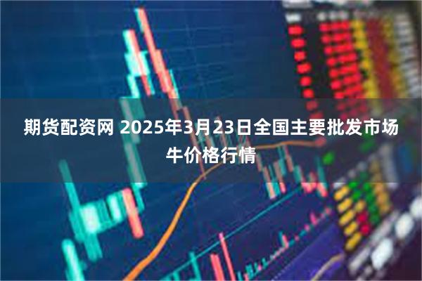 期货配资网 2025年3月23日全国主要批发市场牛价格行情