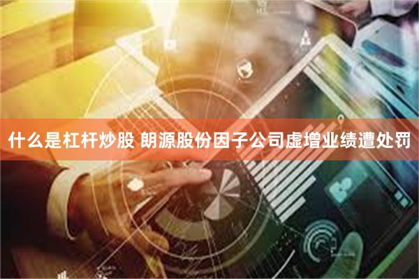 什么是杠杆炒股 朗源股份因子公司虚增业绩遭处罚
