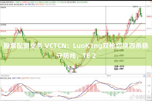 股票配资业务 VCTCN：LuoK1ng双枪切换四杀稳守防线，TE 2