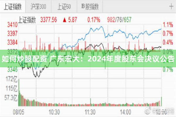 如何炒股配资 广东宏大：2024年度股东会决议公告
