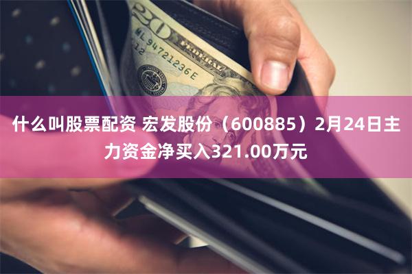 什么叫股票配资 宏发股份（600885）2月24日主力资金净买入321.00万元