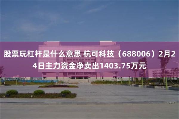 股票玩杠杆是什么意思 杭可科技（688006）2月24日主力资金净卖出1403.75万元