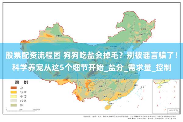 股票配资流程图 狗狗吃盐会掉毛？别被谣言骗了！科学养宠从这5个细节开始_盐分_需求量_控制