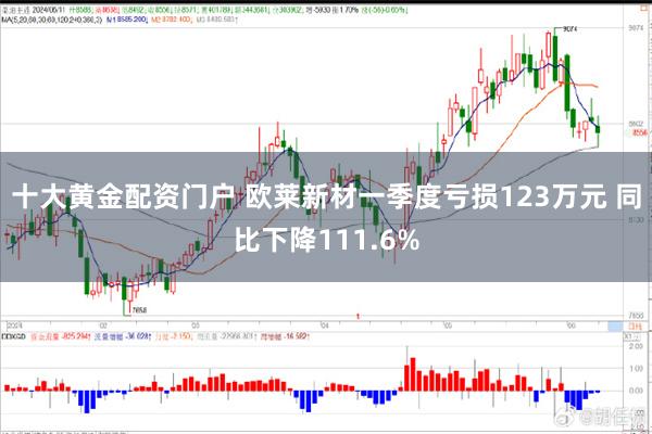 十大黄金配资门户 欧莱新材一季度亏损123万元 同比下降111.6%