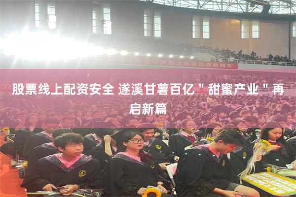 股票线上配资安全 遂溪甘薯百亿＂甜蜜产业＂再启新篇