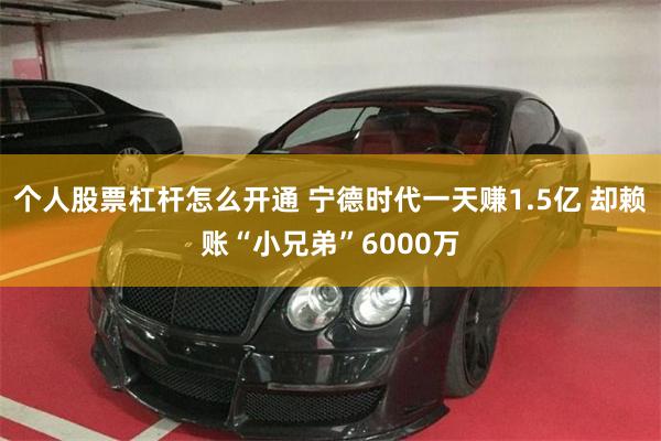 个人股票杠杆怎么开通 宁德时代一天赚1.5亿 却赖账“小兄弟”6000万