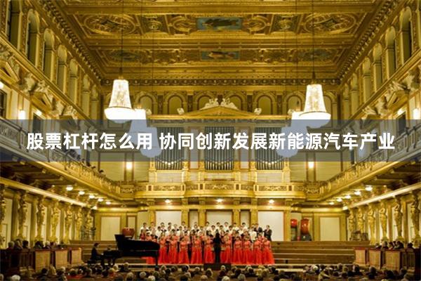 股票杠杆怎么用 协同创新发展新能源汽车产业
