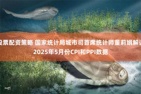 股票配资策略 国家统计局城市司首席统计师董莉娟解读2025年5月份CPI和PPI数据