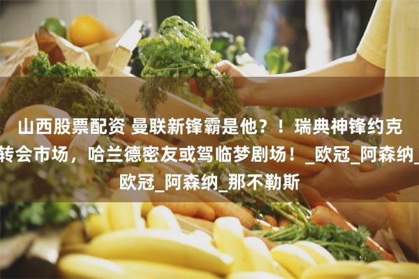 山西股票配资 曼联新锋霸是他？！瑞典神锋约克雷斯引爆转会市场，哈兰德密友或驾临梦剧场！_欧冠_阿森纳_那不勒斯