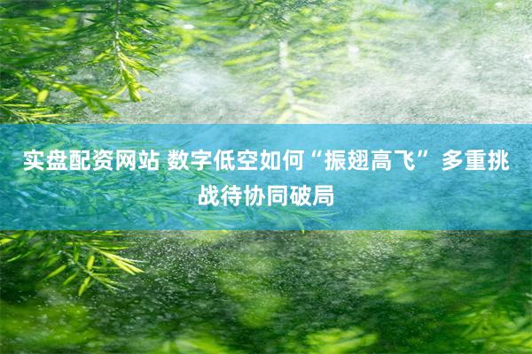 实盘配资网站 数字低空如何“振翅高飞” 多重挑战待协同破局