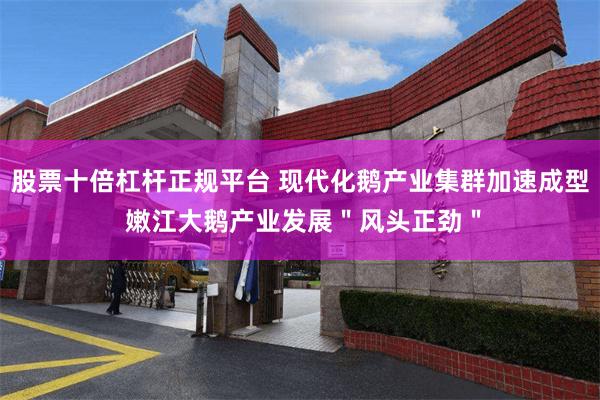股票十倍杠杆正规平台 现代化鹅产业集群加速成型 嫩江大鹅产业发展＂风头正劲＂