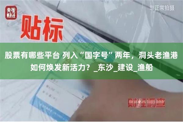 股票有哪些平台 列入“国字号”两年，洞头老渔港如何焕发新活力？_东沙_建设_渔船