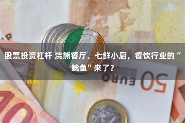 股票投资杠杆 浣熊餐厅、七鲜小厨，餐饮行业的“鲶鱼”来了？