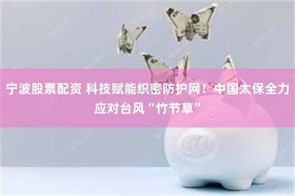 宁波股票配资 科技赋能织密防护网！中国太保全力应对台风“竹节草”
