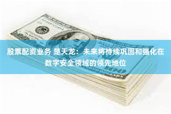 股票配资业务 楚天龙：未来将持续巩固和强化在数字安全领域的领先地位